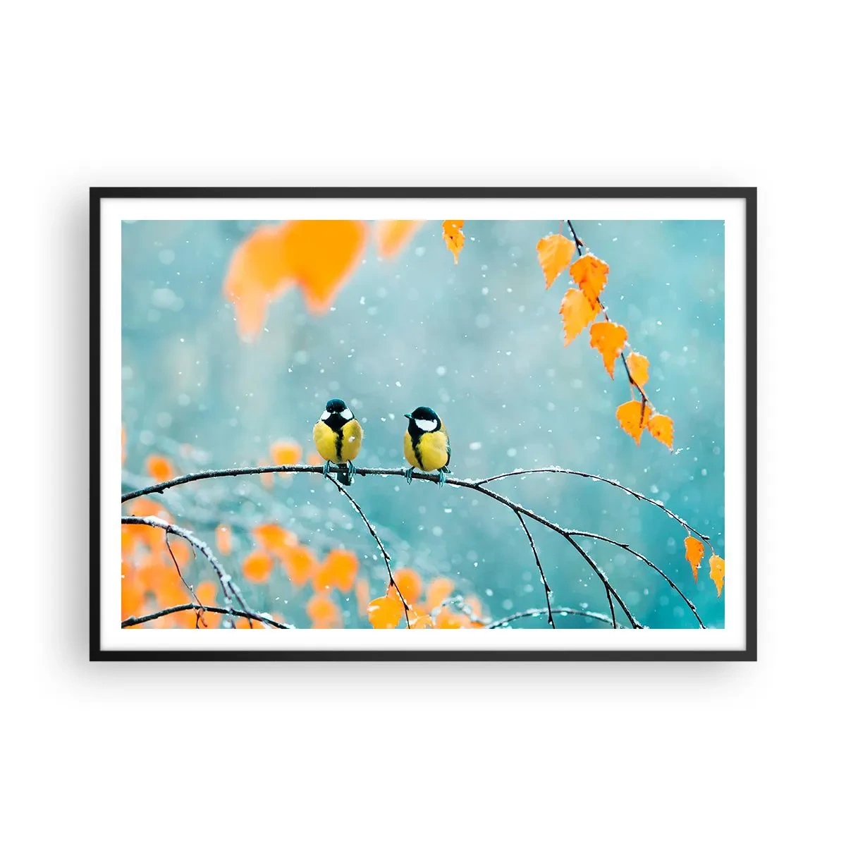 Plagát v čiernom ráme - Vtáčie klebety - 100x70 cm