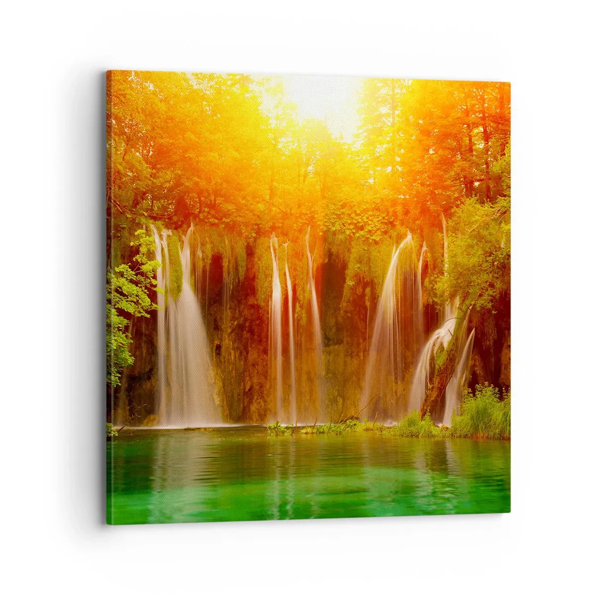 Obraz na plátne - Na slnku a v tieni - 70x70 cm