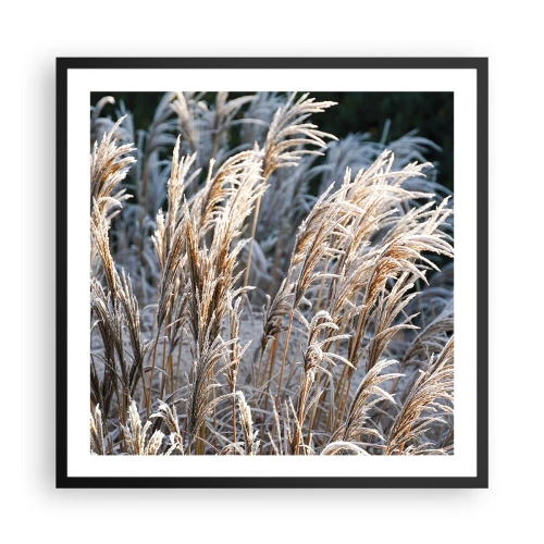 Plagát v čiernom ráme - Mrazom pokryté - 60x60 cm