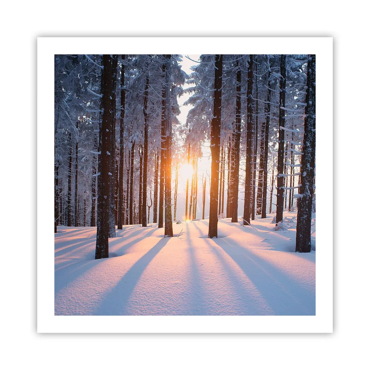 Plagát - Jasne čierne na bielom - 60x60 cm