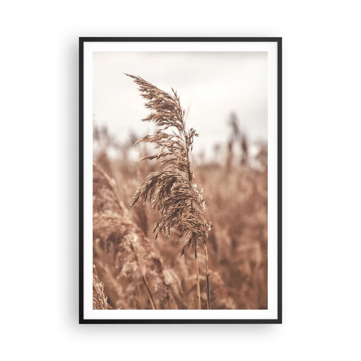 Plagát v čiernom ráme - Na poliach už je jeseň - 70x100 cm