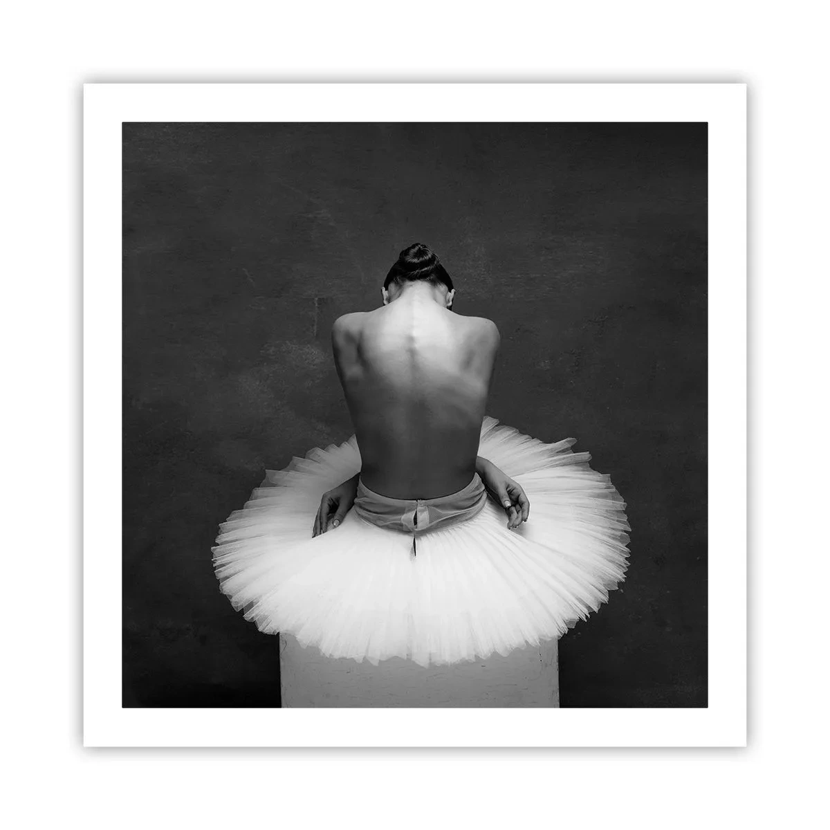 Plagát - Práve prekvitá - 60x60 cm