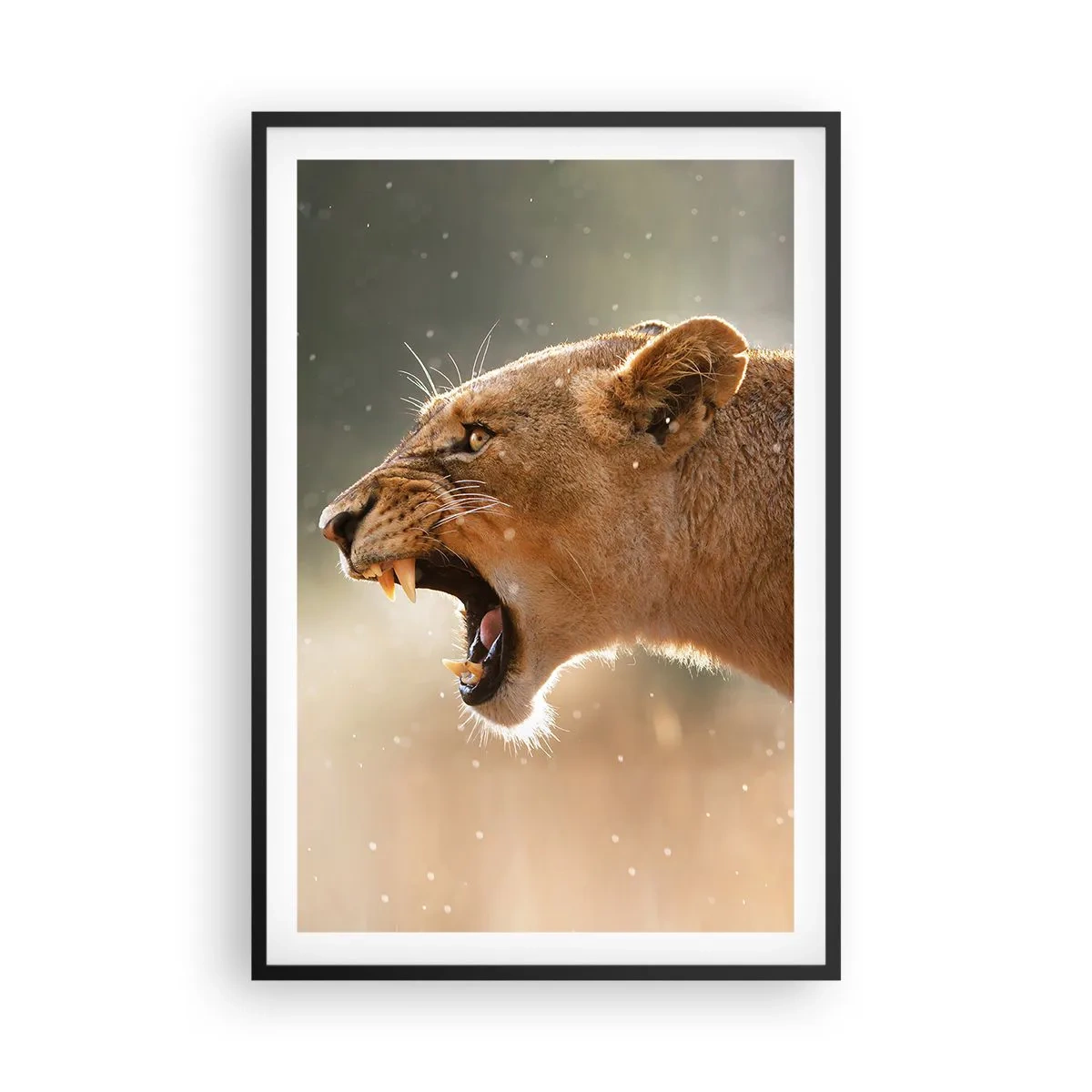 Plagát v čiernom ráme - Snaž sa nepočúvať - 61x91 cm