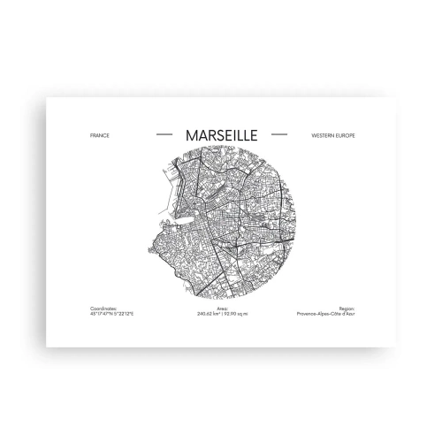 Plagát - Anatómia Marseille - 70x50 cm