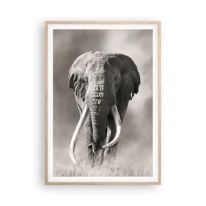 Plagát v ráme zo svetlého duba - Africký patriarcha - 70x100 cm