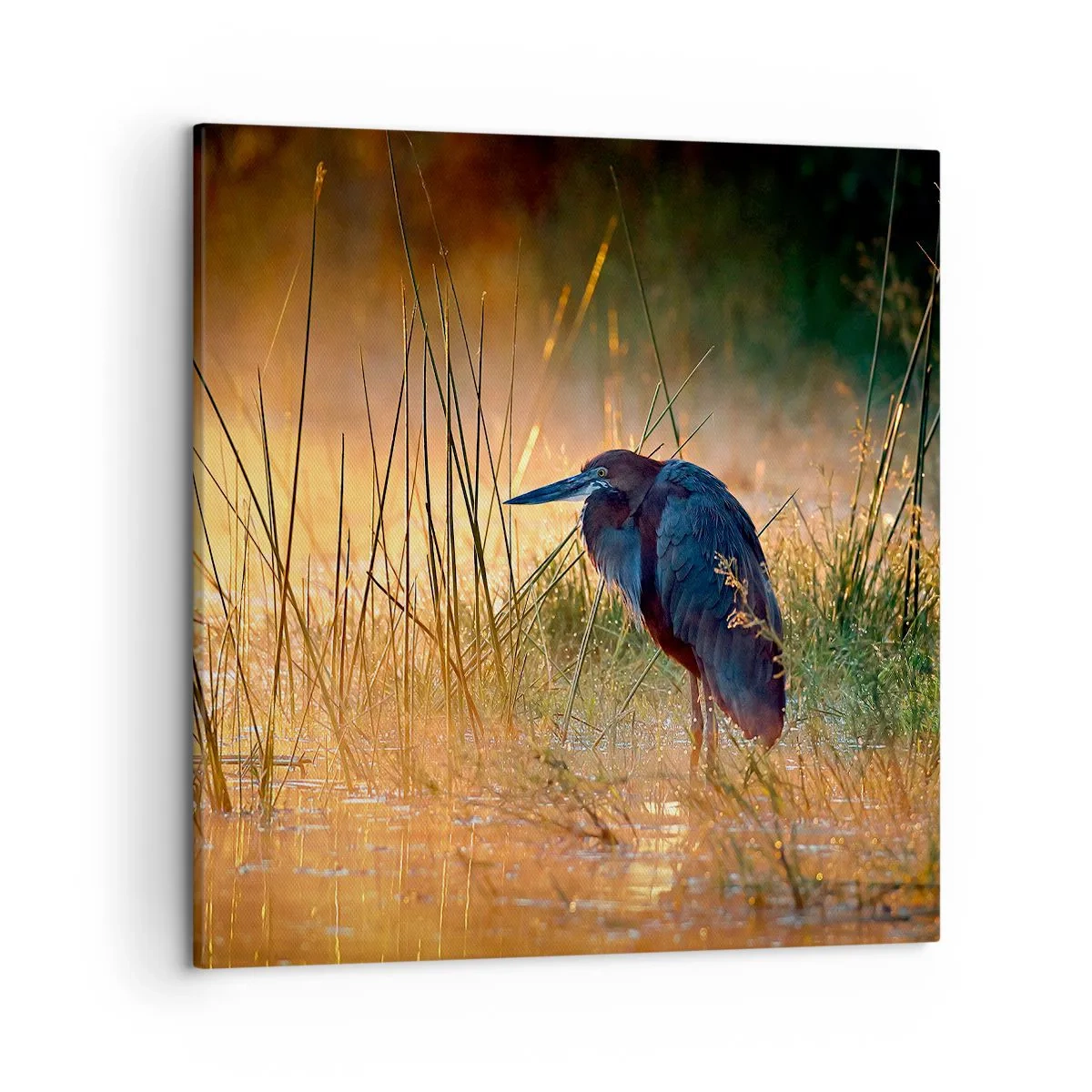 Obraz na plátne - Ušetrite ma tých fotiek - 50x50 cm