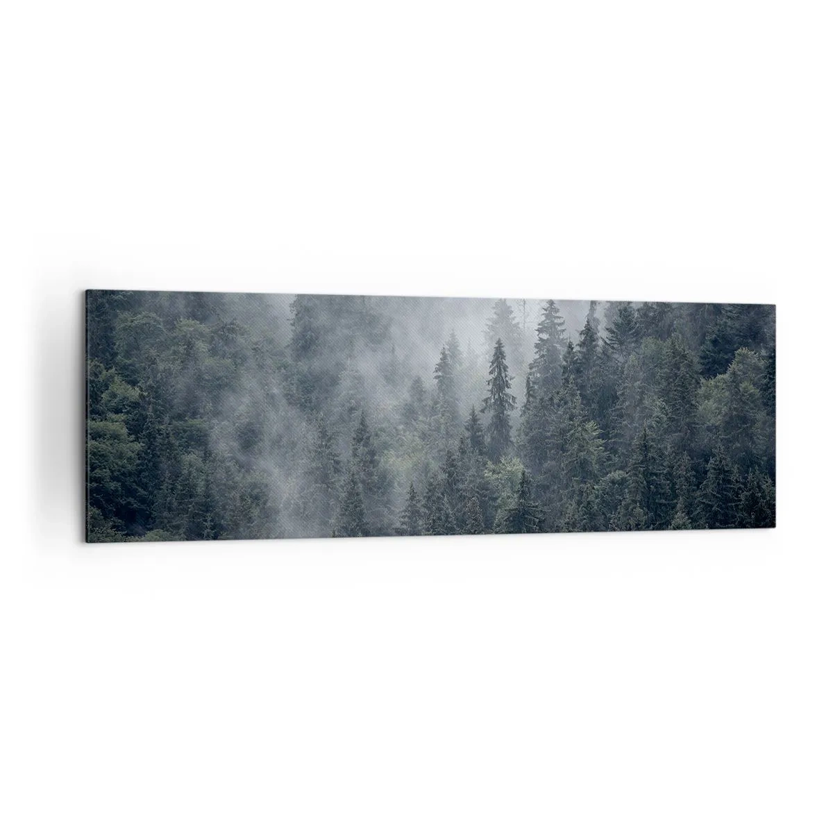 Obraz na plátne - Lesné svitania - 160x50 cm