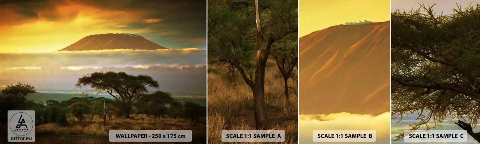 Vzorka Fototapeta Standard Eco - Sen cestovateľa - Krajina, Mount Kilimanjaro, Afriky - 100x30 cm