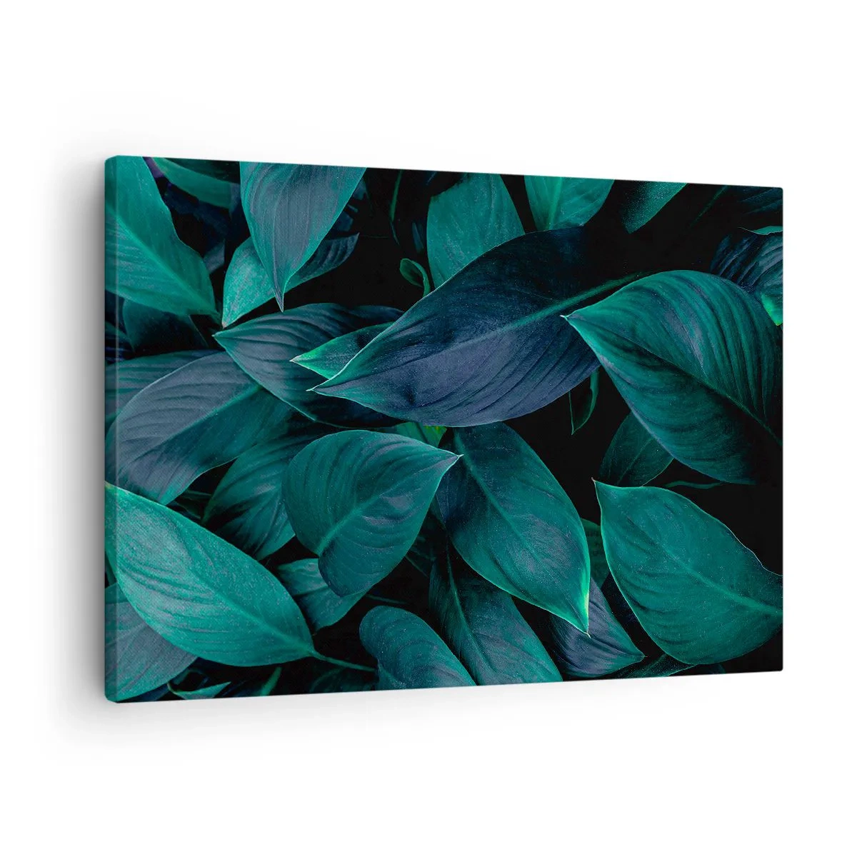 Obraz na plátne - Detailný záber na zelené listy s tmavým pozadím - 70x50cm - Zeleň sama o sebe - Moderná nástenná dekorácia do obývacej izby a spálne ARTTOR