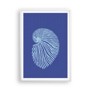 Plagát v bielom ráme - Zrodenie mušle - 70x100 cm