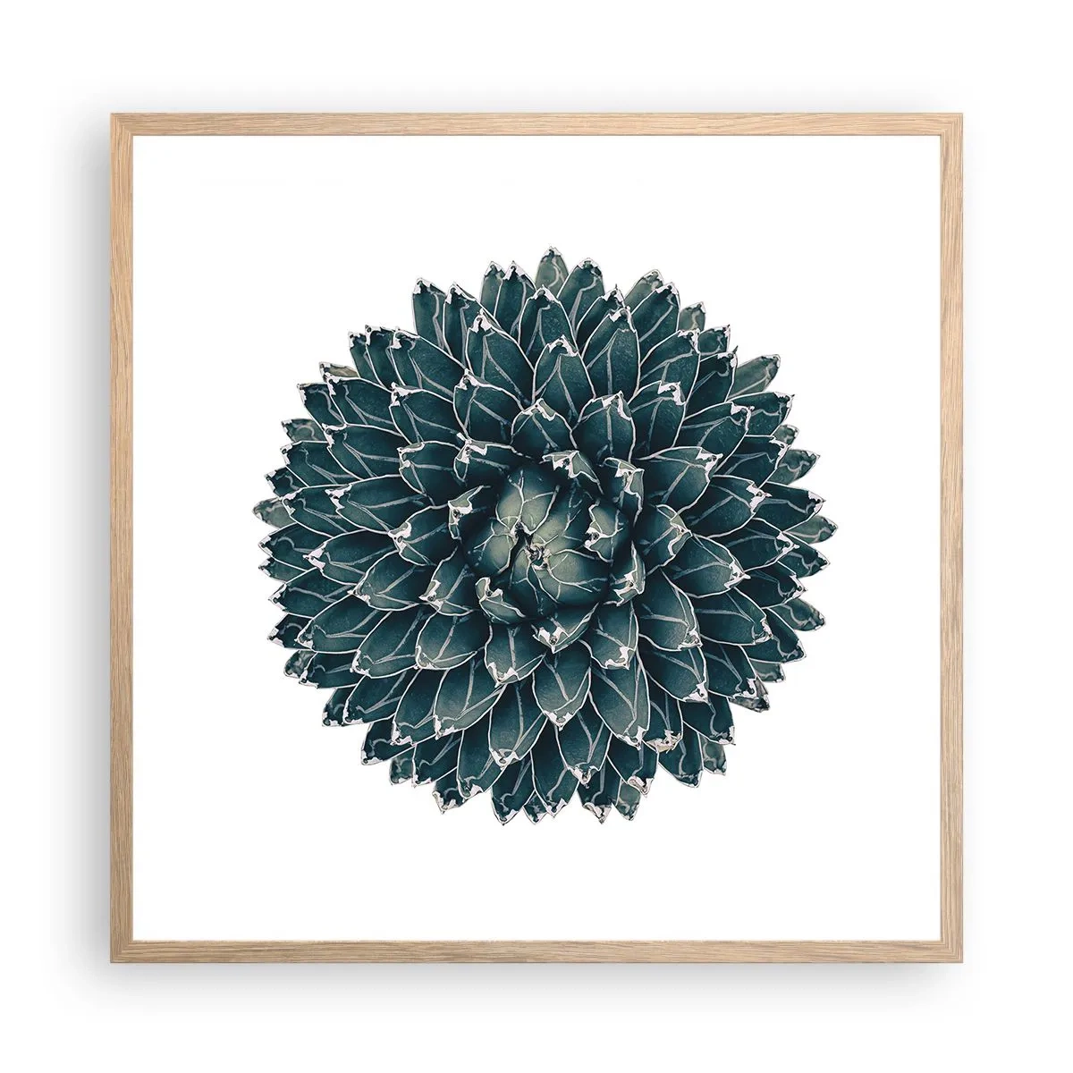 Plagát v ráme zo svetlého duba - Hviezda púšte - 60x60 cm