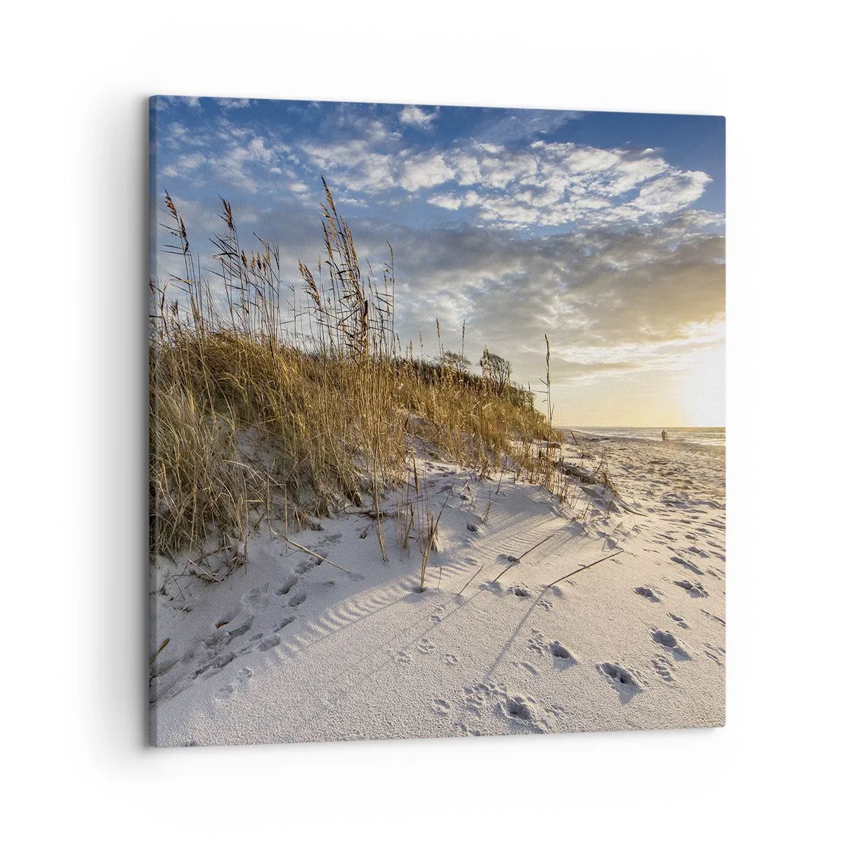 Obraz na plátne - Pozvánka na prechádzku - 50x50 cm