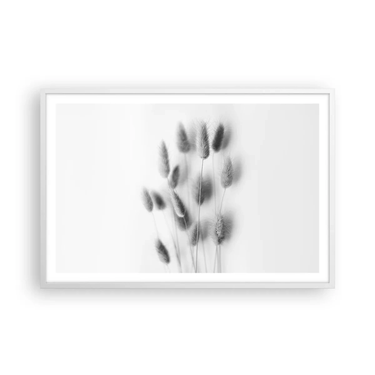 Plagát v bielom ráme - Našuchorená tráva - 91x61 cm