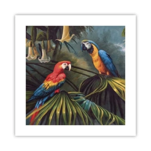 Plagát - Romantizmus v trópoch - 40x40 cm