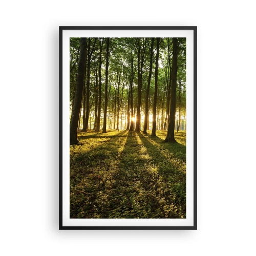 Plagát v čiernom ráme - Fotografie všetkých jarí - 61x91 cm