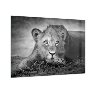 Obraz na skle - Kráľovské šteňa - 100x70 cm