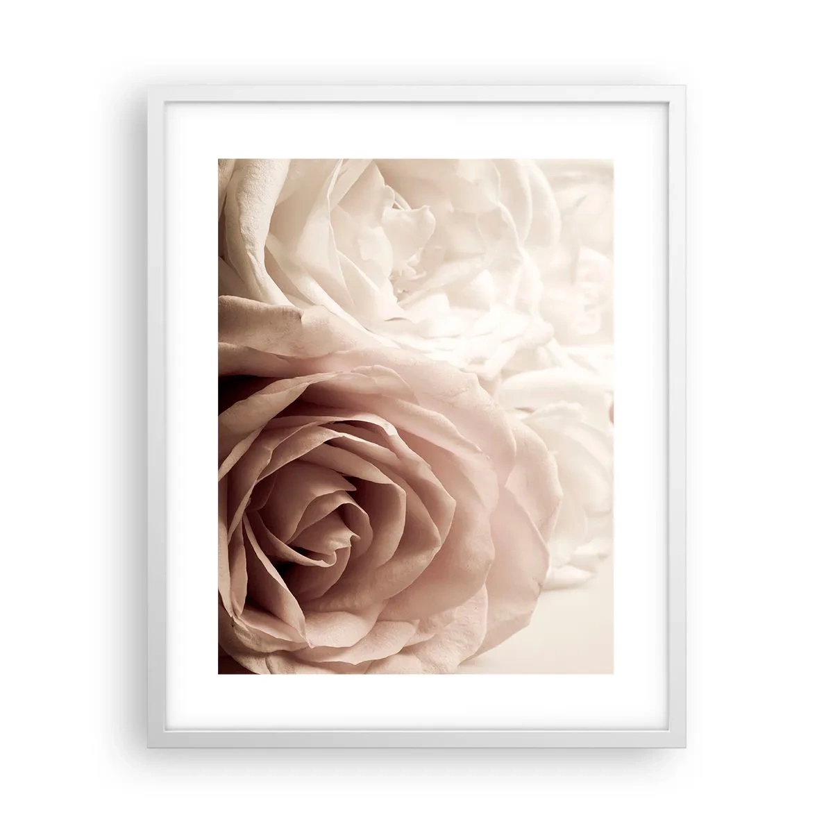Plagát v bielom ráme - V srdci ruže - 40x50 cm