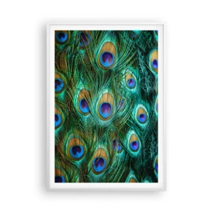 Plagát v bielom ráme - Páví pohľad - 70x100 cm