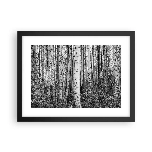 Plagát v čiernom ráme - Brezová kolonáda - 40x30 cm