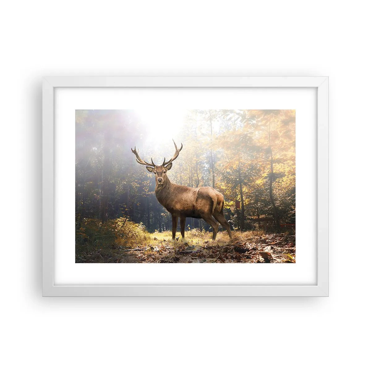 Plagát v bielom ráme - Plné dôstojnosti - 40x30 cm