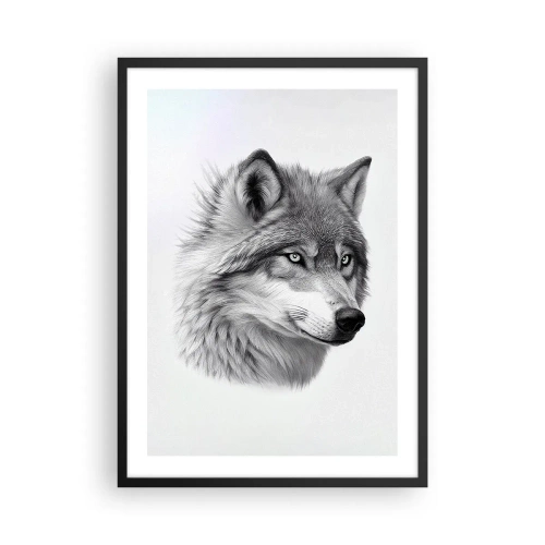 Plagát v čiernom ráme - Realistický portrét vlka v odtieňoch sivej. - 50x70cm - Alfa – bezpochyby - Moderná nástenná dekorácia do obývacej izby a spálne ARTTOR