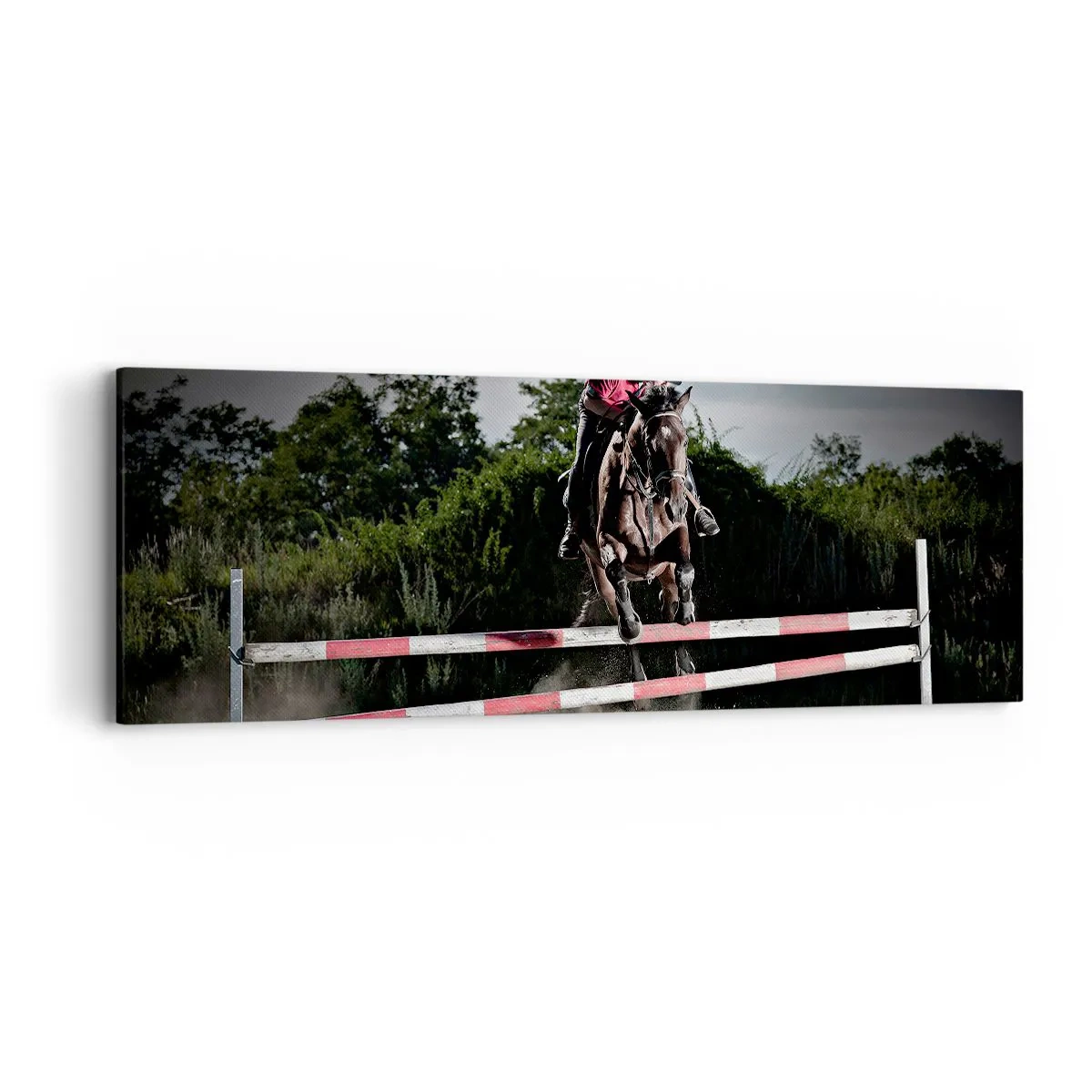 Obraz na plátne - Spoločne pre víťazstvo - 90x30 cm