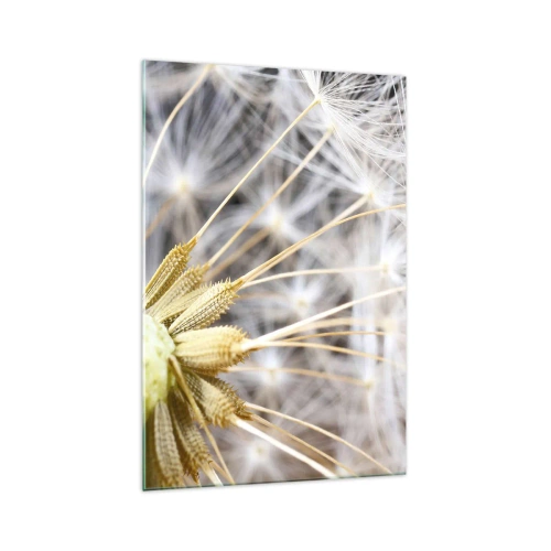 Obraz na skle - Tesne pred odletom - 70x100 cm