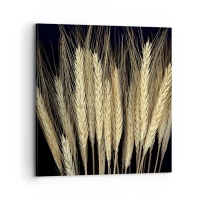 70x70 cm | Štvorcový