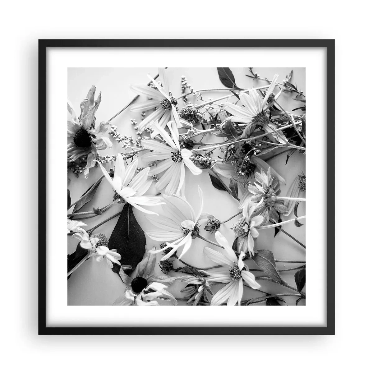 Plagát v čiernom ráme - Kvety bez kytice - 50x50 cm
