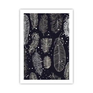 Plagát - Čipka s perím - 50x70 cm