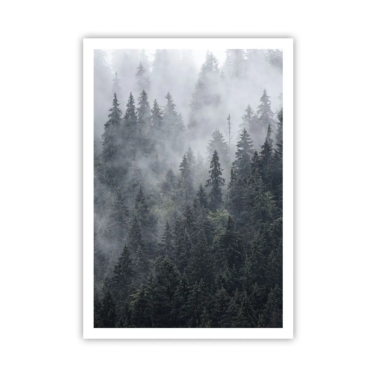 Plagát - Lesné svitania - 70x100 cm