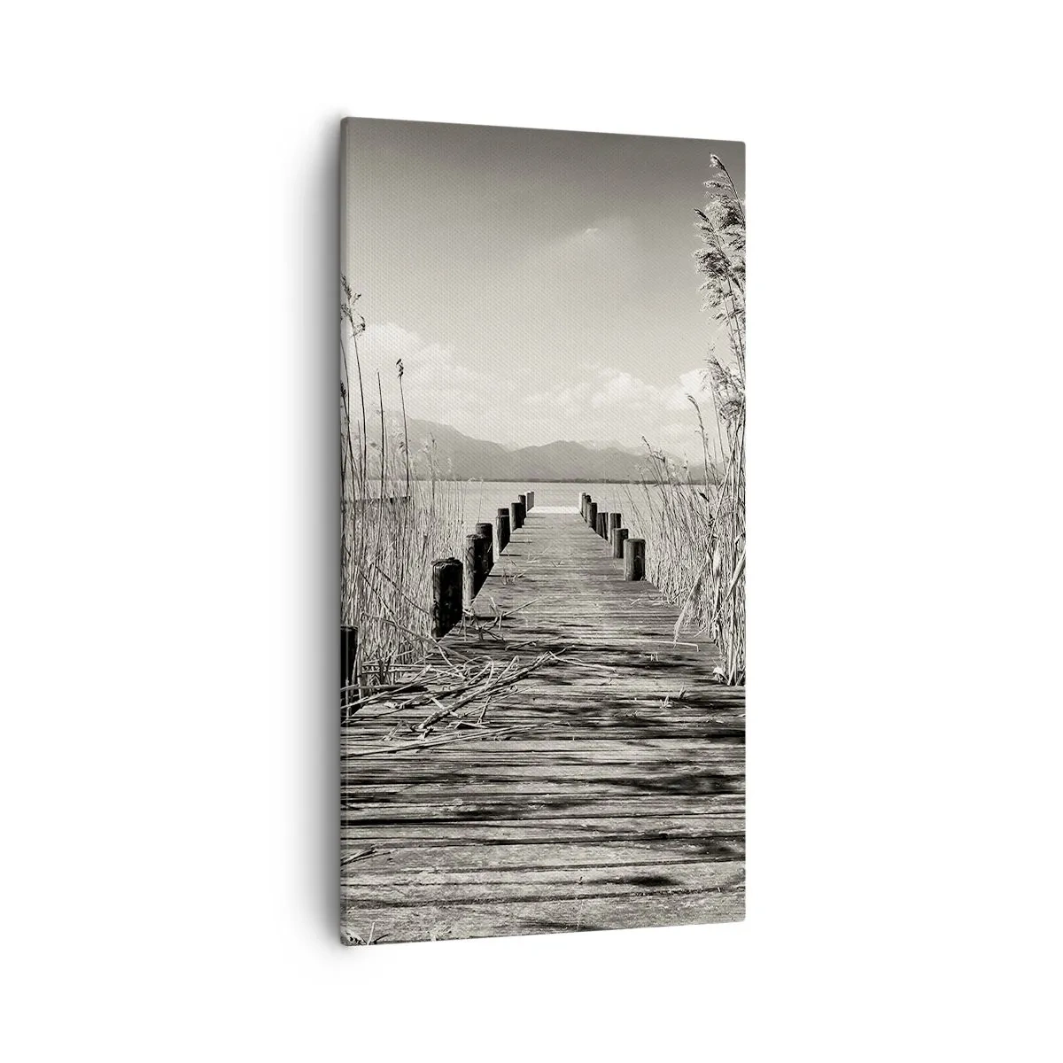 Obraz na plátne - V ústraní tráv - 55x100 cm