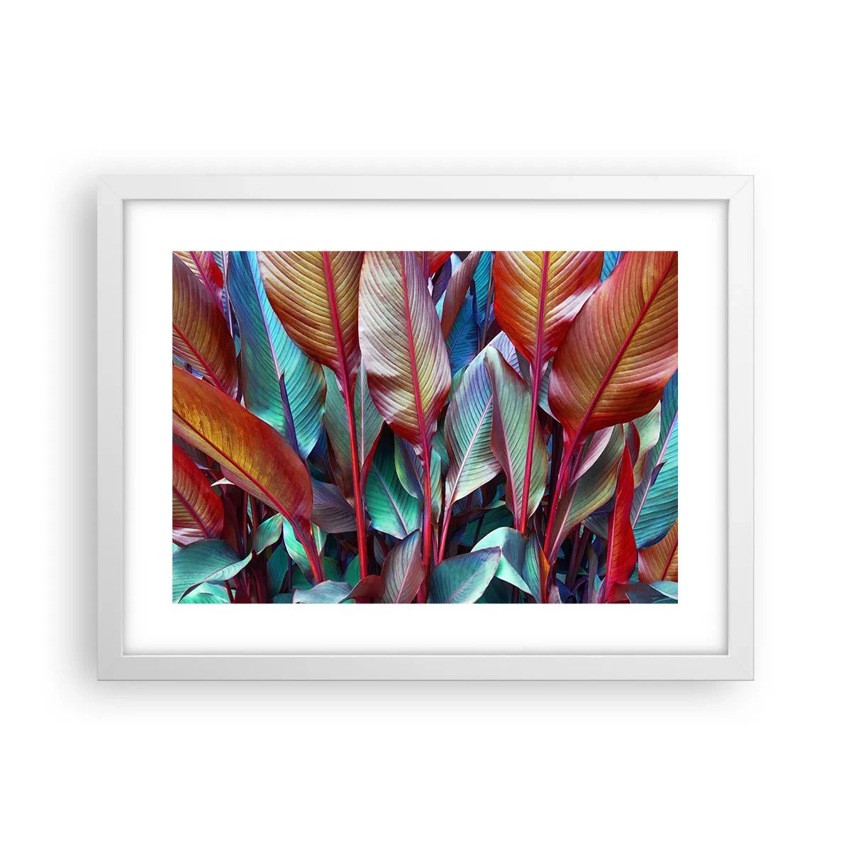 Plagát v bielom ráme - Farebná húština - 40x30 cm