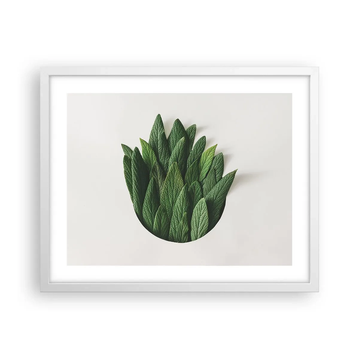 Plagát v bielom ráme - Neukojiteľná zvedavosť - 50x40 cm