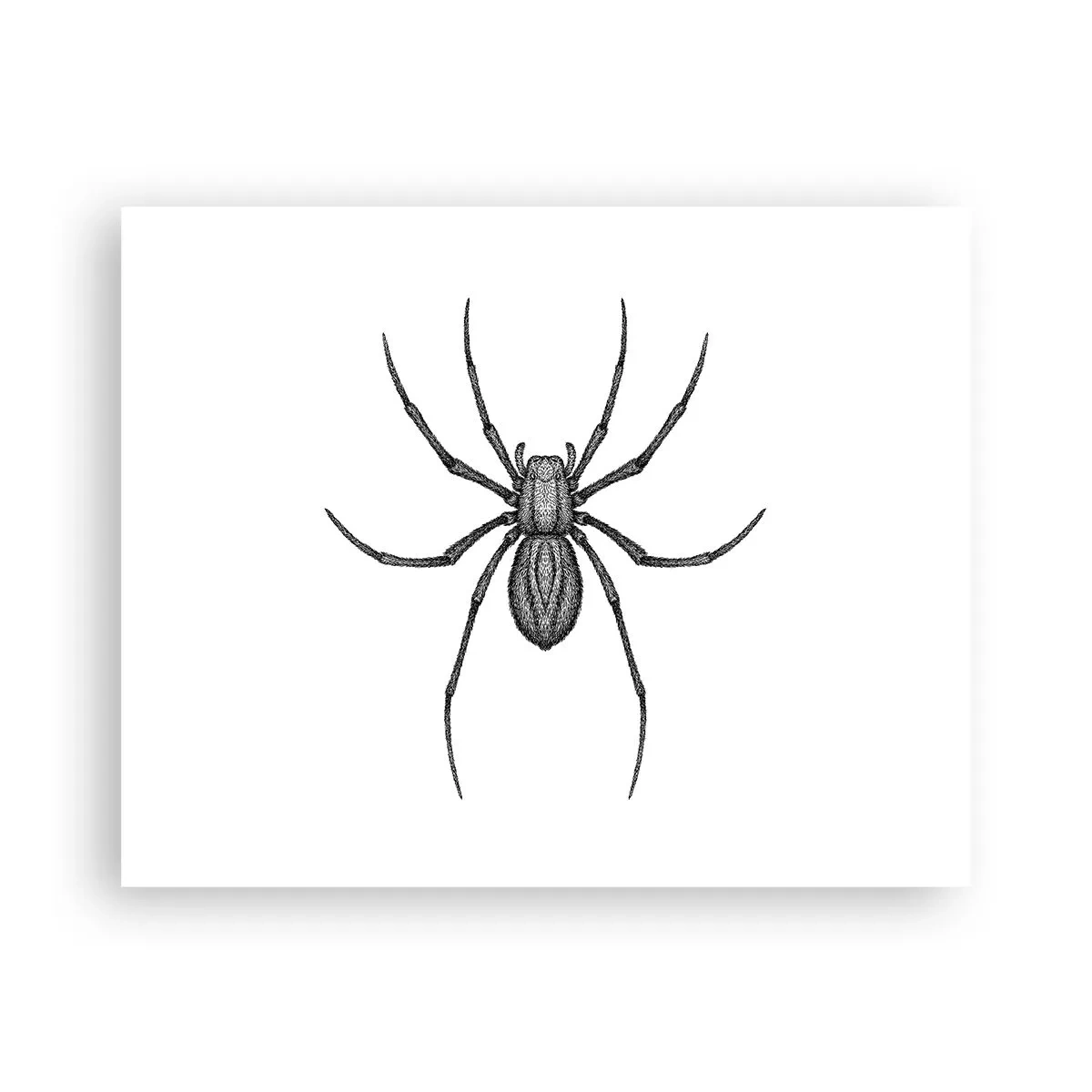 Plagát - Znepokojivá presnosť - 50x40 cm