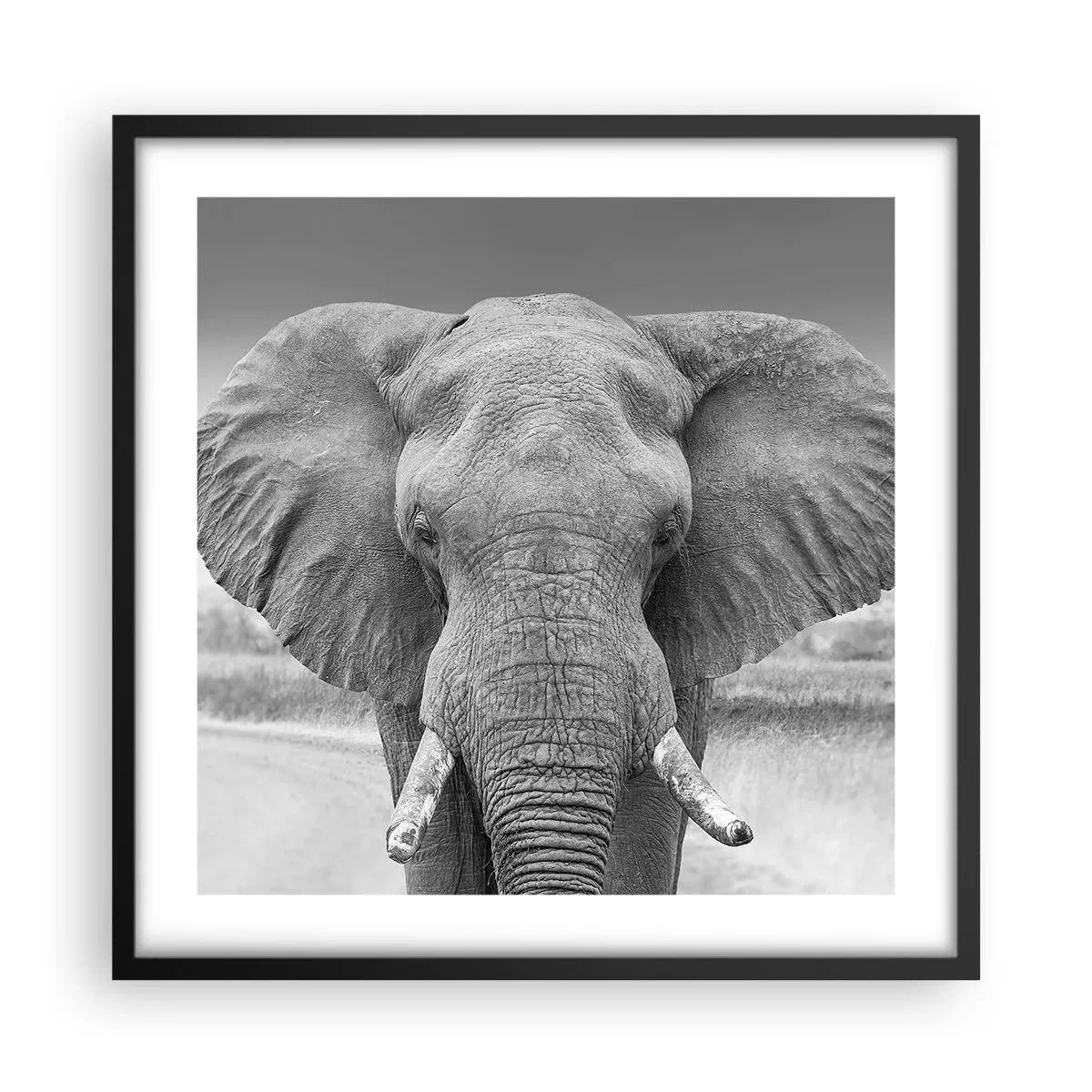 Plagát v čiernom ráme - Vitajte v mojom svete - 50x50 cm