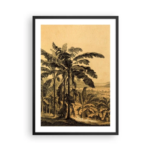 Plagát v čiernom ráme - Ilustrácia paliem na pozadí tropickej krajiny - 50x70cm - V koloniálnom štýle - Moderná nástenná dekorácia do obývacej izby a spálne ARTTOR