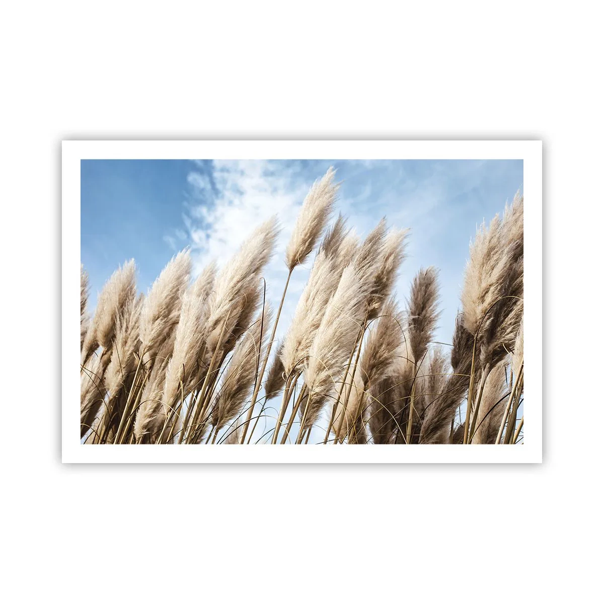 Plagát - Slnečné a veterné pohladenie - 91x61 cm