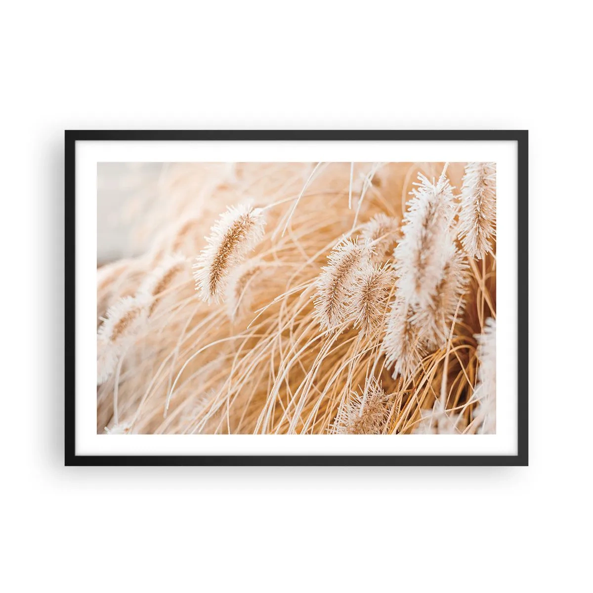 Plagát v čiernom ráme - Zlaté šušťanie tráv - 70x50 cm