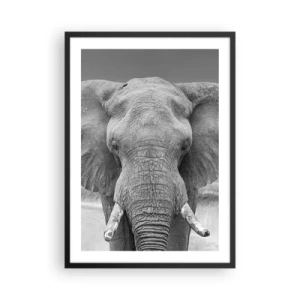 Plagát v čiernom ráme - Slon v čiernobielej umeleckej fotografii - 50x70cm - Vitajte v mojom svete - Moderná nástenná dekorácia do obývacej izby a spálne ARTTOR