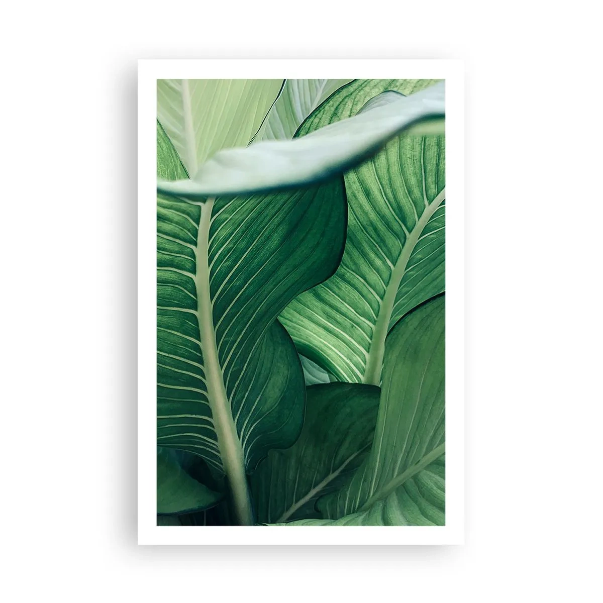 Plagát - Intenzívne zelený život - 61x91 cm