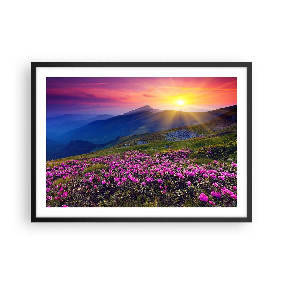 Plagát v čiernom ráme - …A okolo vonia kosodrevina a voňajú byliny - 70x50 cm
