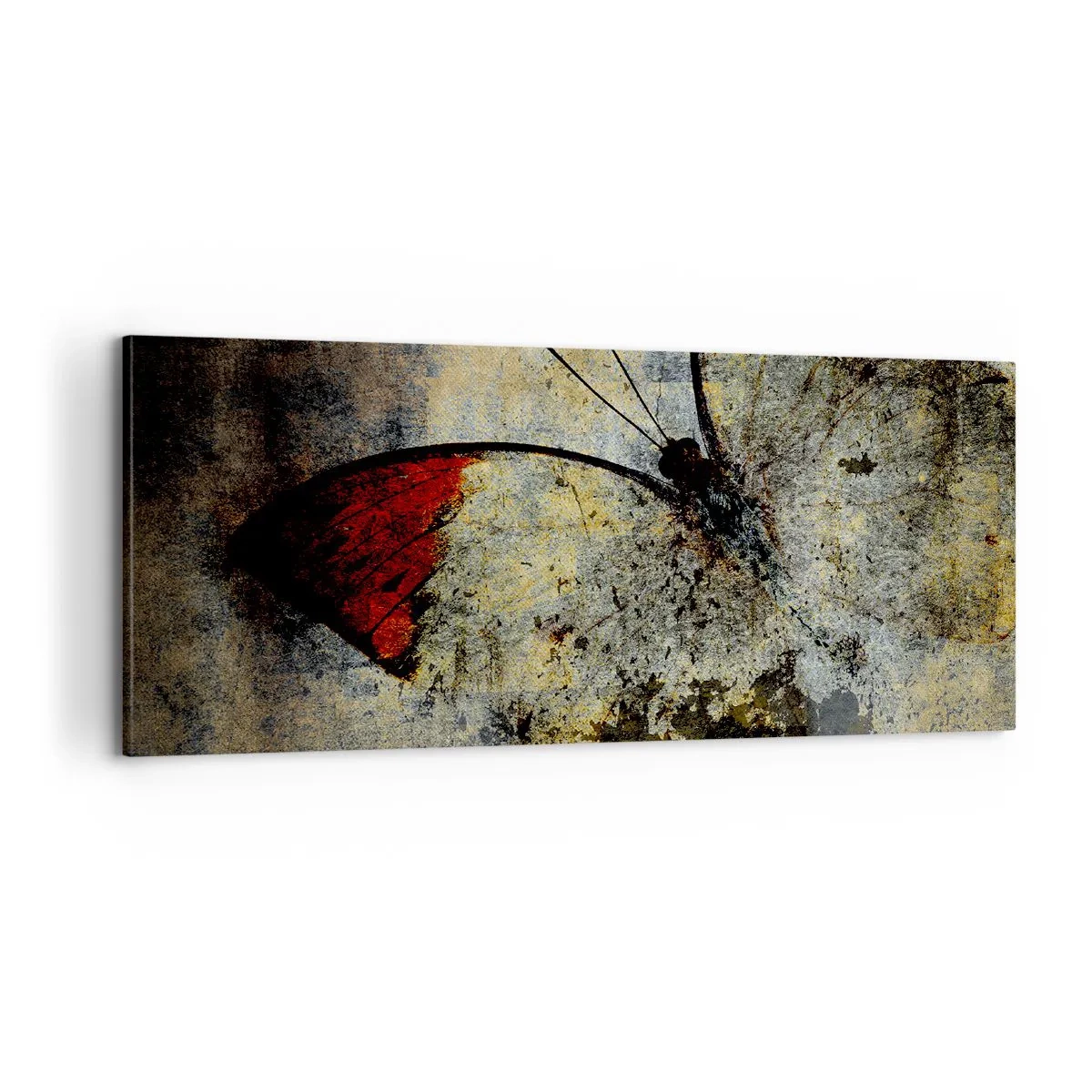 Obraz na plátne - Pozri, skôr ako zmiznem - 100x40 cm