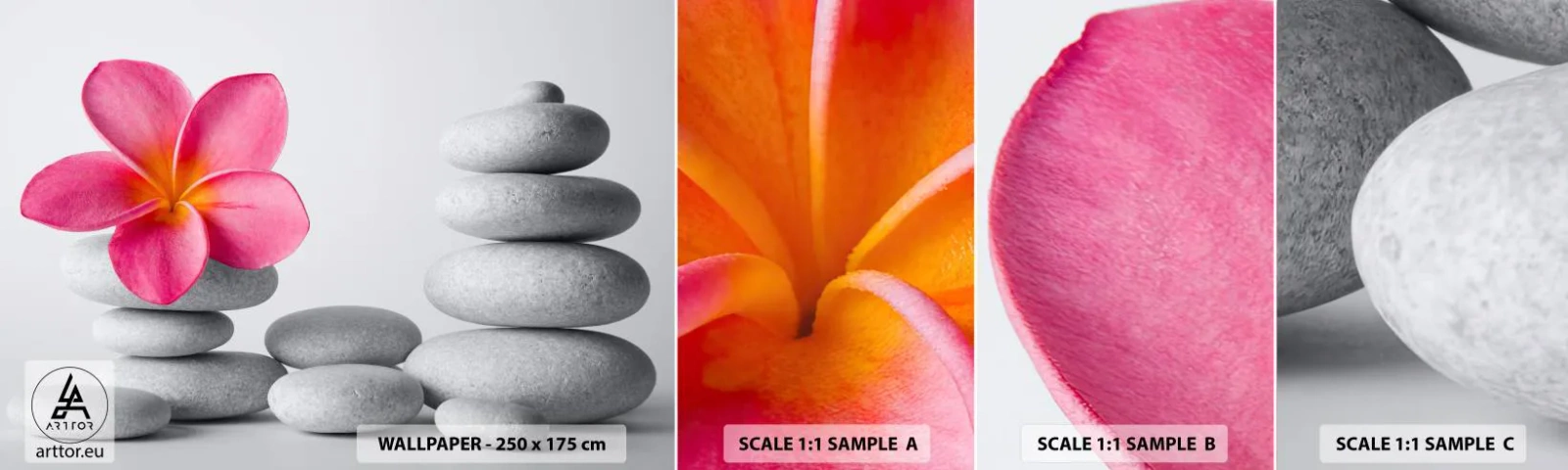 Vzorka Fototapeta Standard Eco - Kameň na kameni, a na tom kameni… - Kvetina, Kamene, Kúpele - 100x30 cm