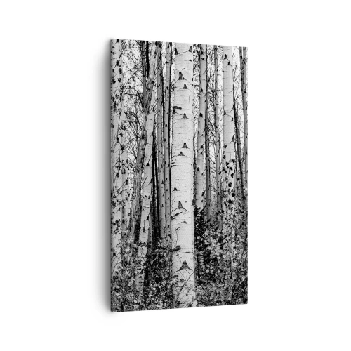 Obraz na plátne - Brezová kolonáda - 45x80 cm