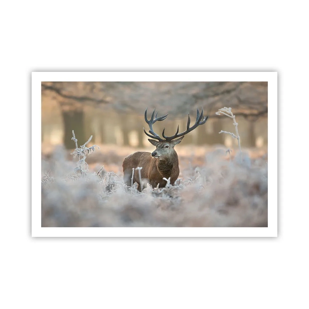 Plagát - Svieže ráno - 91x61 cm