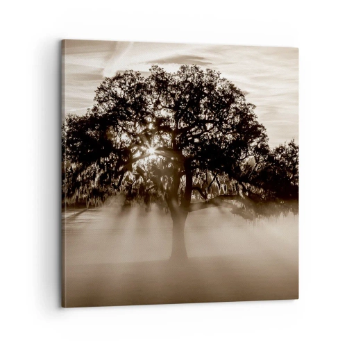 Obraz na plátne - Strom správ samotného dobra - 60x60 cm