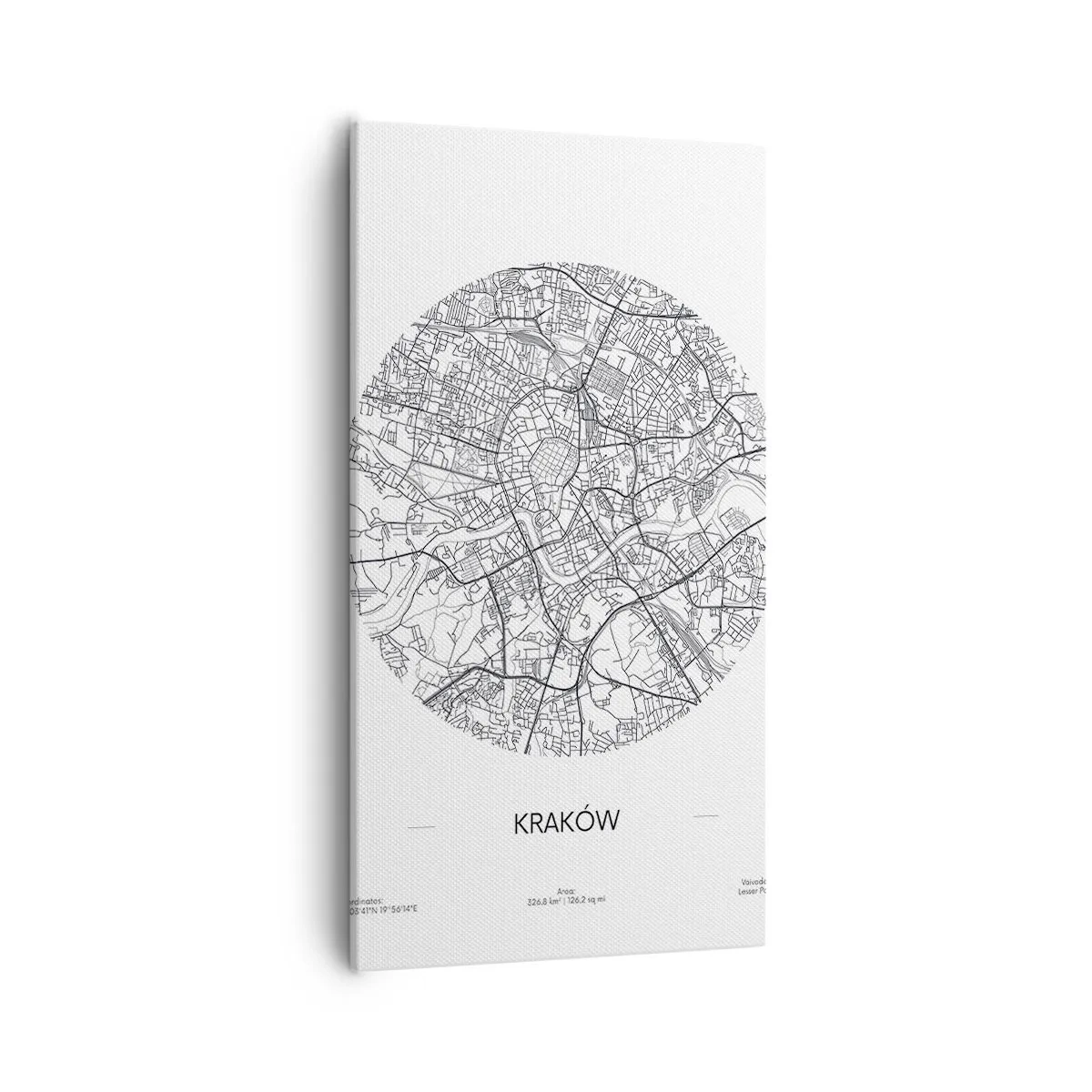 Obraz na plátne - Anatómia Krakova - 55x100 cm