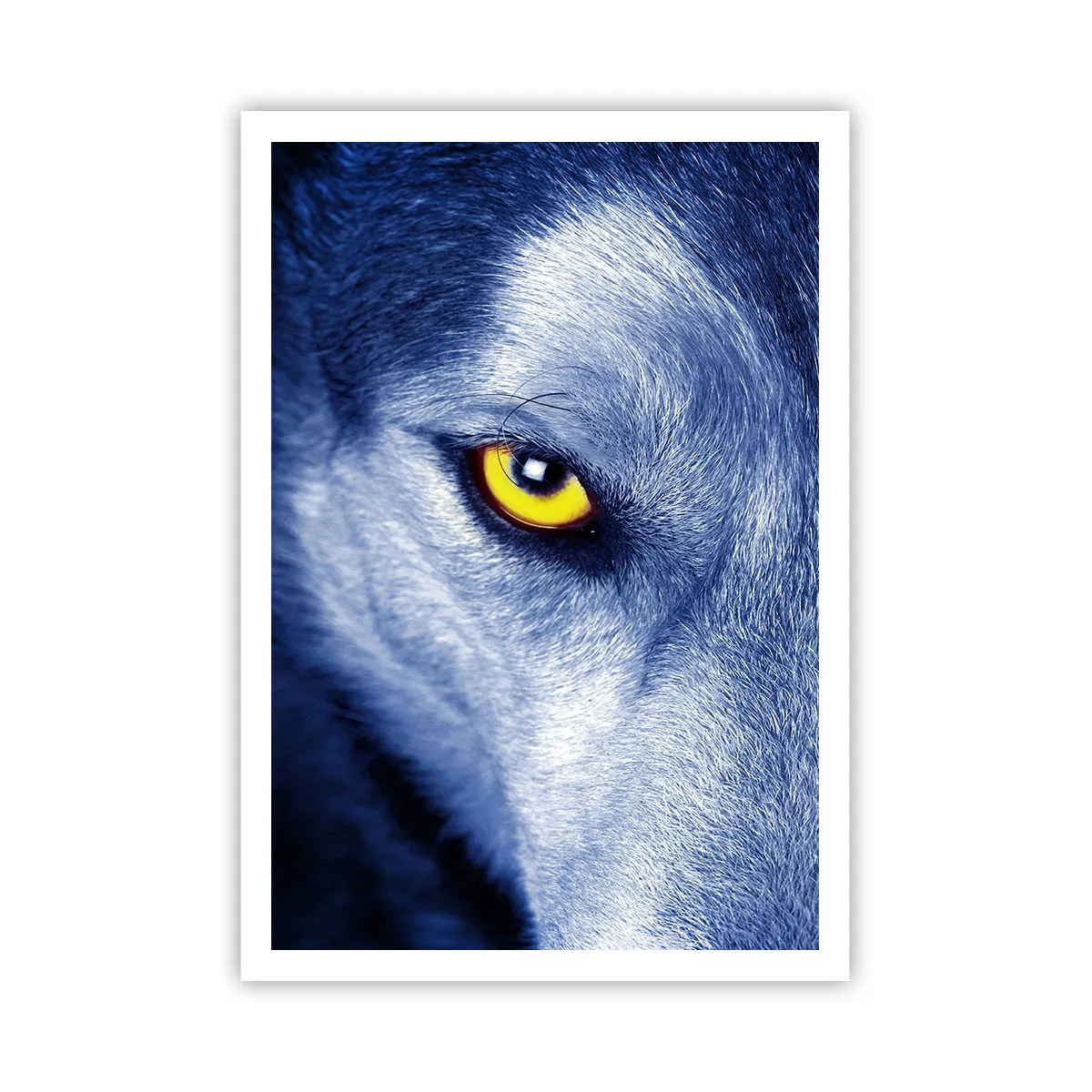 Plagát - Fascinujúci pohľad - 70x100 cm