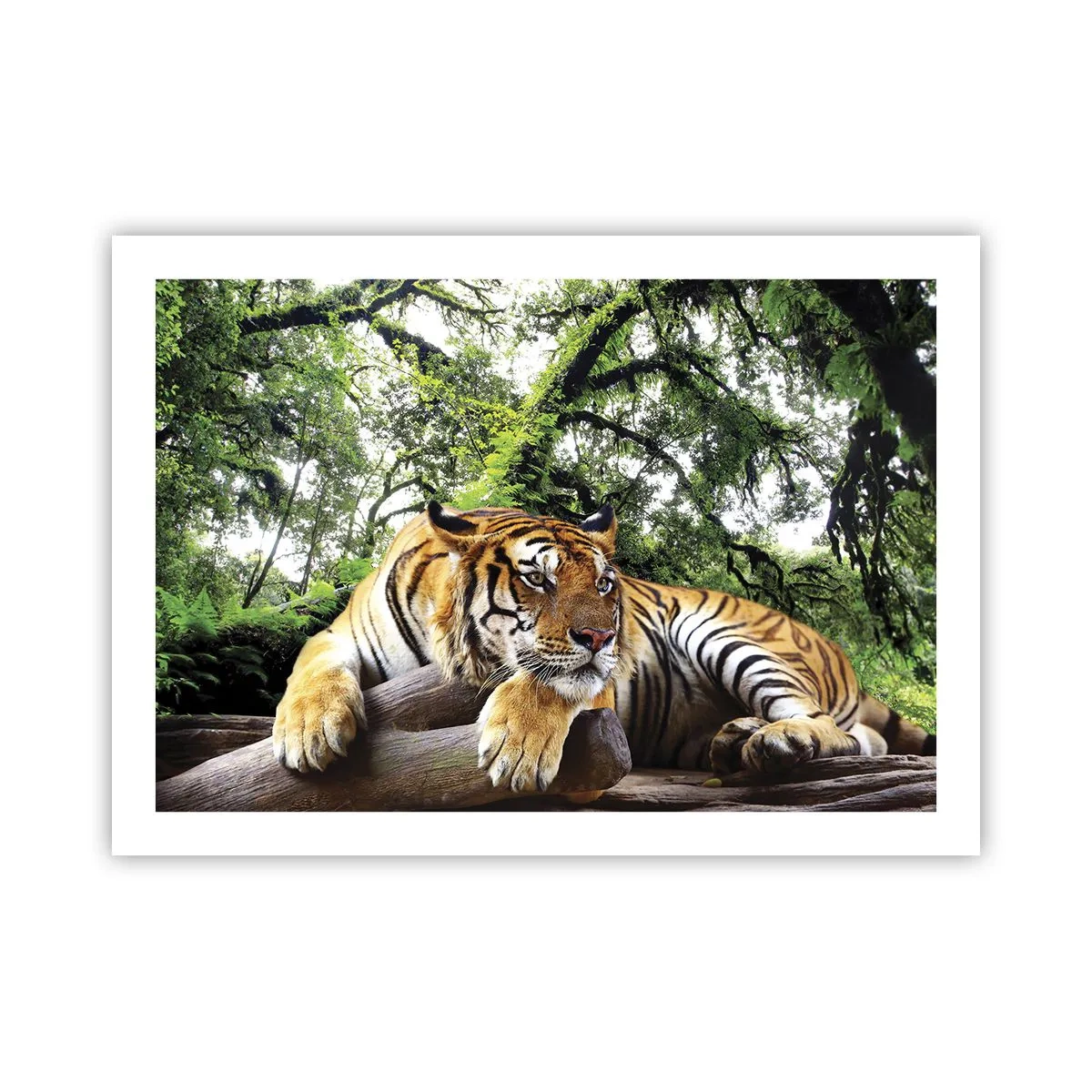 Plagát - S úctou - 70x50 cm